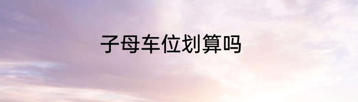子母车位划算吗