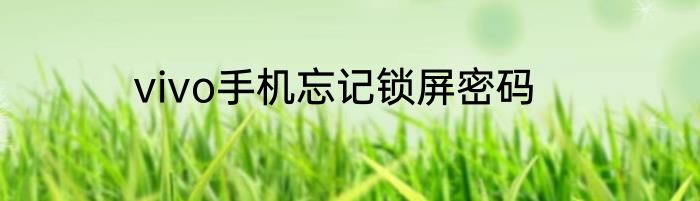 vivo手机忘记锁屏密码