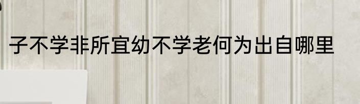 子不学非所宜幼不学老何为出自哪里