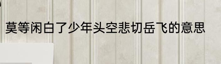 莫等闲白了少年头空悲切岳飞的意思