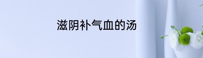 滋阴补气血的汤