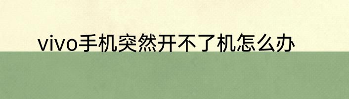 vivo手机突然开不了机怎么办
