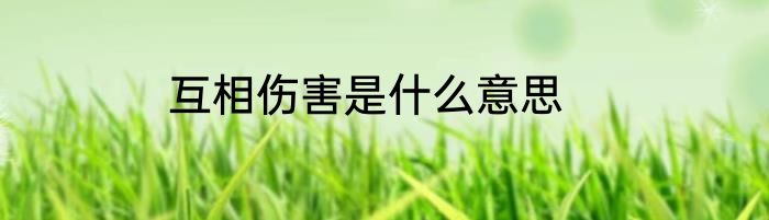 互相伤害是什么意思
