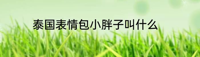 泰国表情包小胖子叫什么