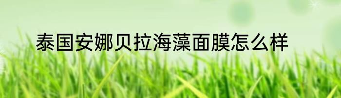 泰国安娜贝拉海藻面膜怎么样