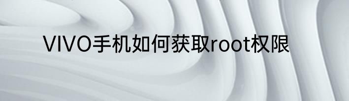 VIVO手机如何获取root权限