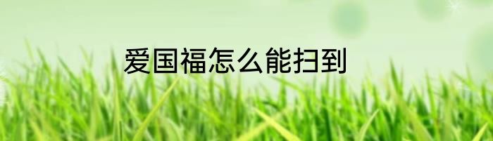 爱国福怎么能扫到