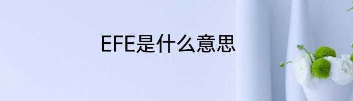 EFE是什么意思