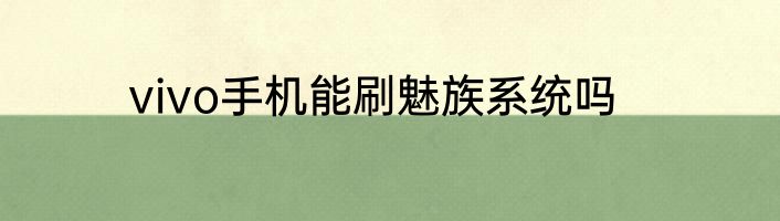 vivo手机能刷魅族系统吗