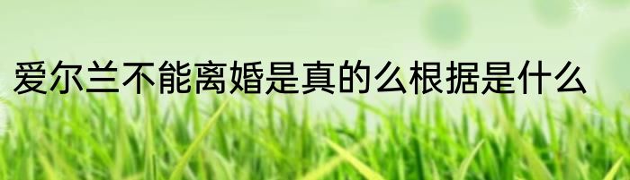 爱尔兰不能离婚是真的么根据是什么