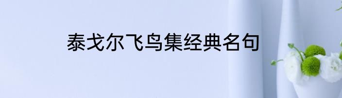 泰戈尔飞鸟集经典名句