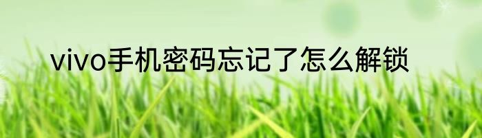 vivo手机密码忘记了怎么解锁
