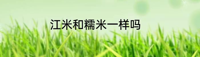 江米和糯米一样吗