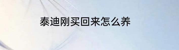 泰迪刚买回来怎么养