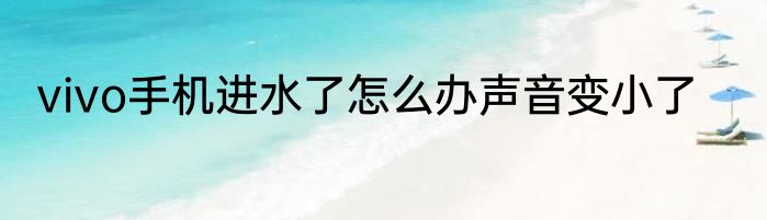 vivo手机进水了怎么办声音变小了