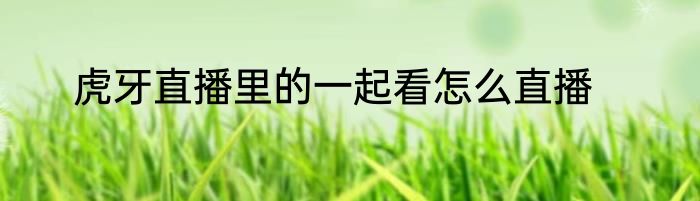 虎牙直播里的一起看怎么直播