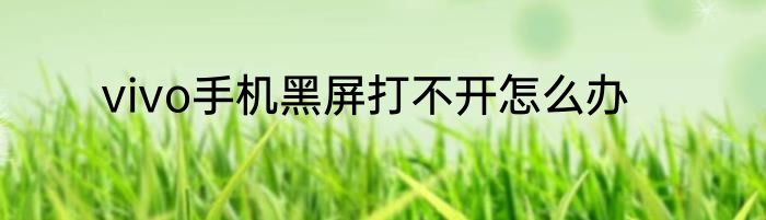 vivo手机黑屏打不开怎么办