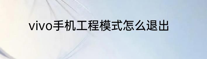 vivo手机工程模式怎么退出