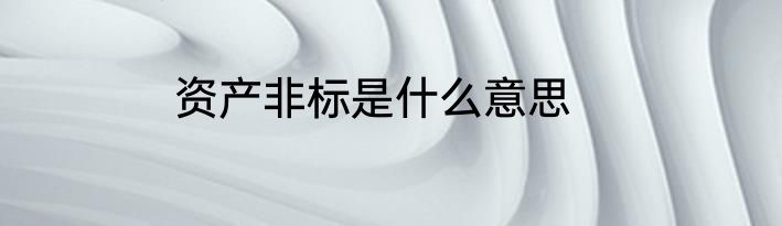 资产非标是什么意思