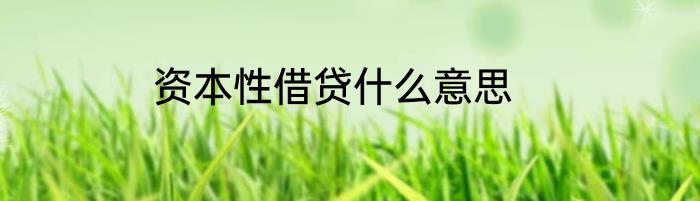 资本性借贷什么意思