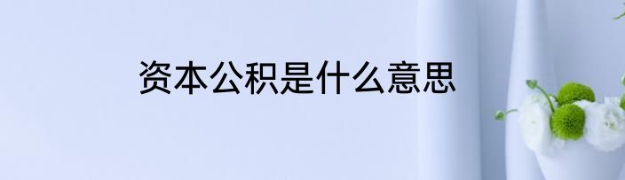 资本公积是什么意思