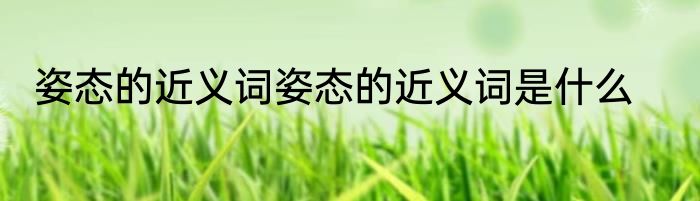 姿态的近义词姿态的近义词是什么