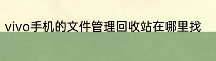 vivo手机的文件管理回收站在哪里找