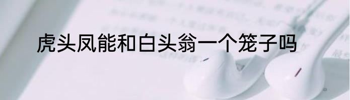 虎头凤能和白头翁一个笼子吗