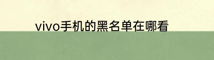 vivo手机的黑名单在哪看