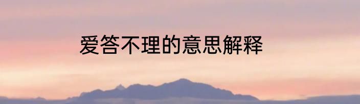 爱答不理的意思解释