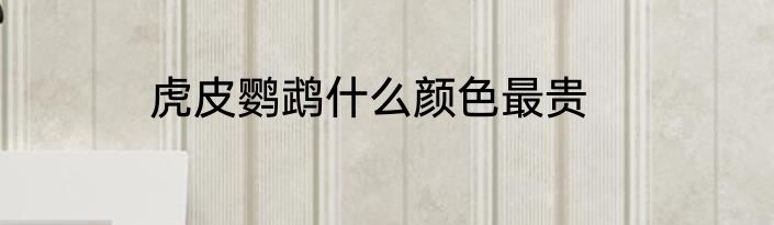 虎皮鹦鹉什么颜色最贵