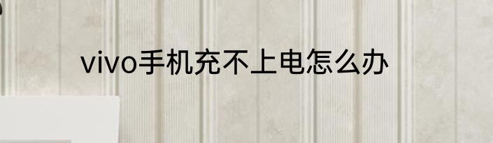 vivo手机充不上电怎么办