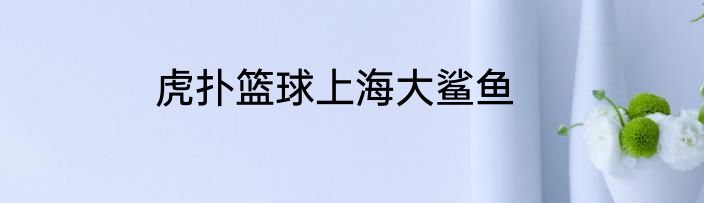 虎扑篮球上海大鲨鱼