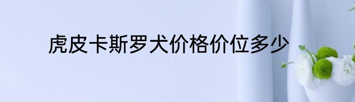 虎皮卡斯罗犬价格价位多少