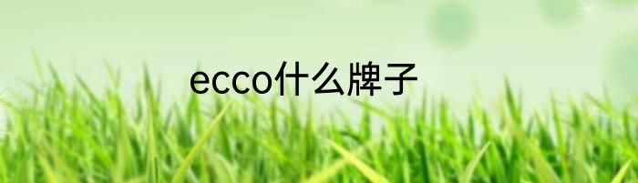 ecco什么牌子