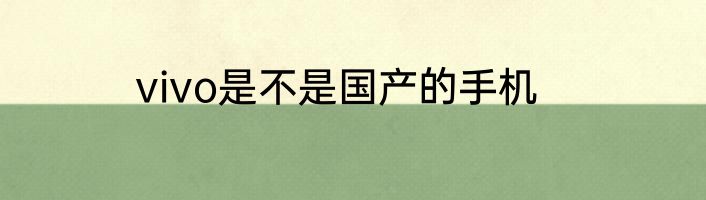 vivo是不是国产的手机