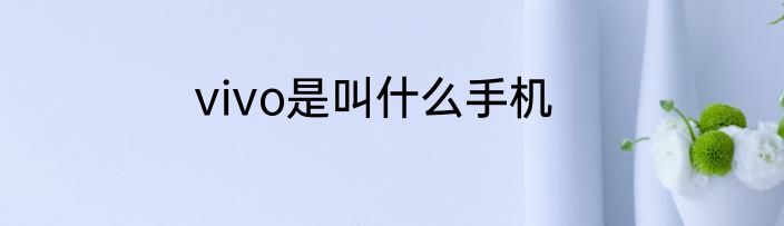 vivo是叫什么手机