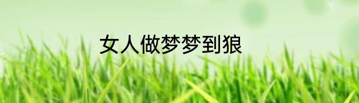 女人做梦梦到狼