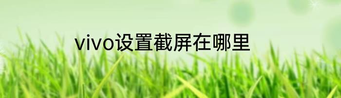 vivo设置截屏在哪里