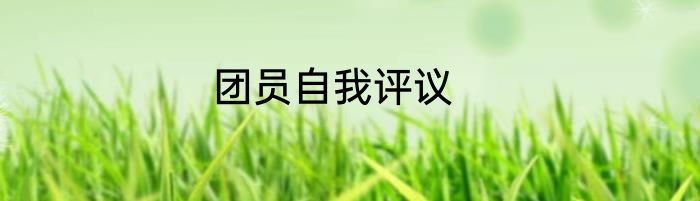团员自我评议