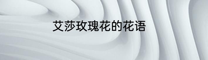 艾莎玫瑰花的花语