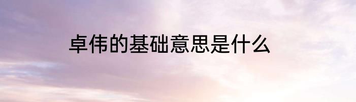 卓伟的基础意思是什么