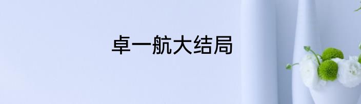 卓一航大结局