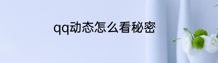 qq动态怎么看秘密