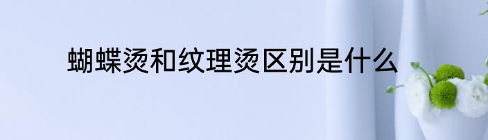 蝴蝶烫和纹理烫区别是什么