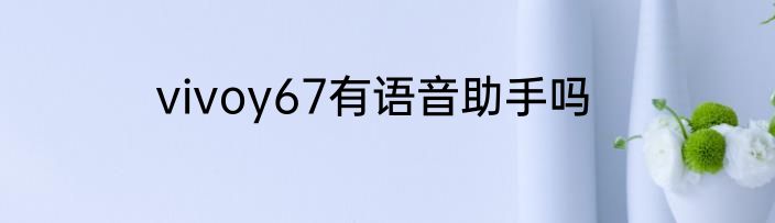 vivoy67有语音助手吗