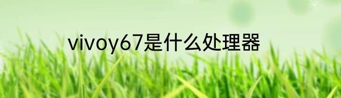 vivoy67是什么处理器