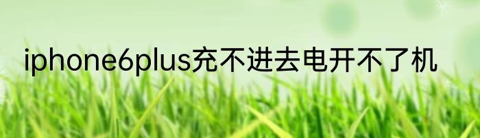 iphone6plus充不进去电开不了机