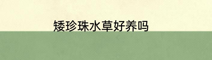 矮珍珠水草好养吗
