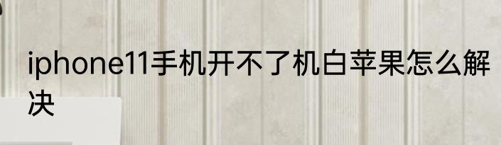 iphone11手机开不了机白苹果怎么解决